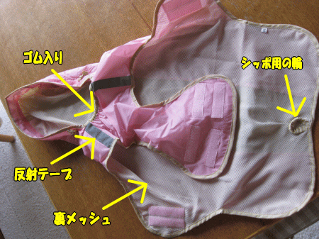 inu12.gif