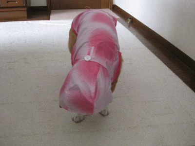 ニュアンスドット柄マウンテンパーカ